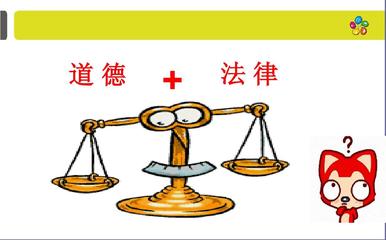 職業(yè)道德與法律 構建專業(yè)行為的雙支柱