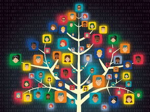 網(wǎng)絡(luò)營(yíng)銷策劃 如何根據(jù)崗位職級(jí)精準(zhǔn)賦能與分工